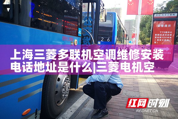 Ϻյά޵绰ַѯ|ά