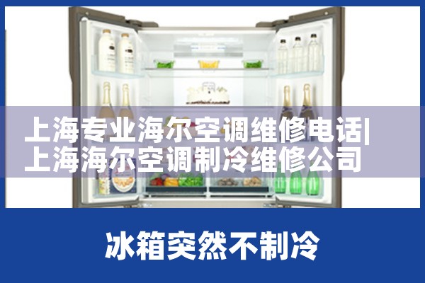 Ϻרҵյά޵绰|24<center><img alt=